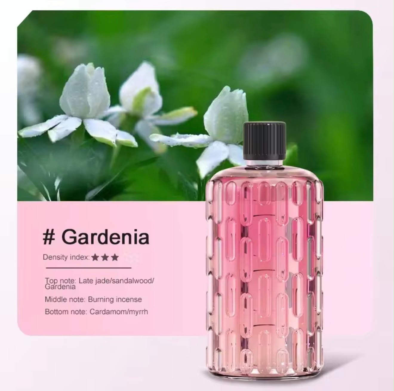 Difusor de aceites especiales